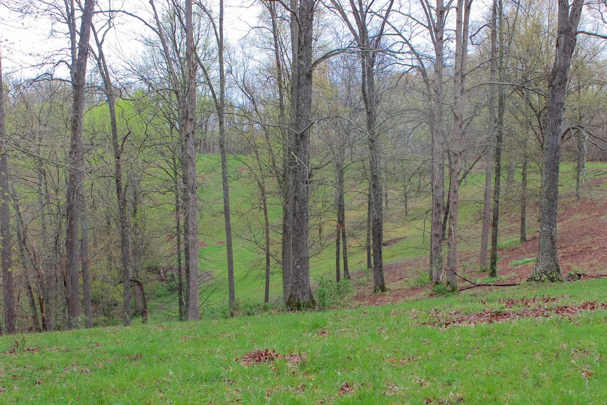 Tract 14 at Serenity Creek in Laurel County, Kentucky