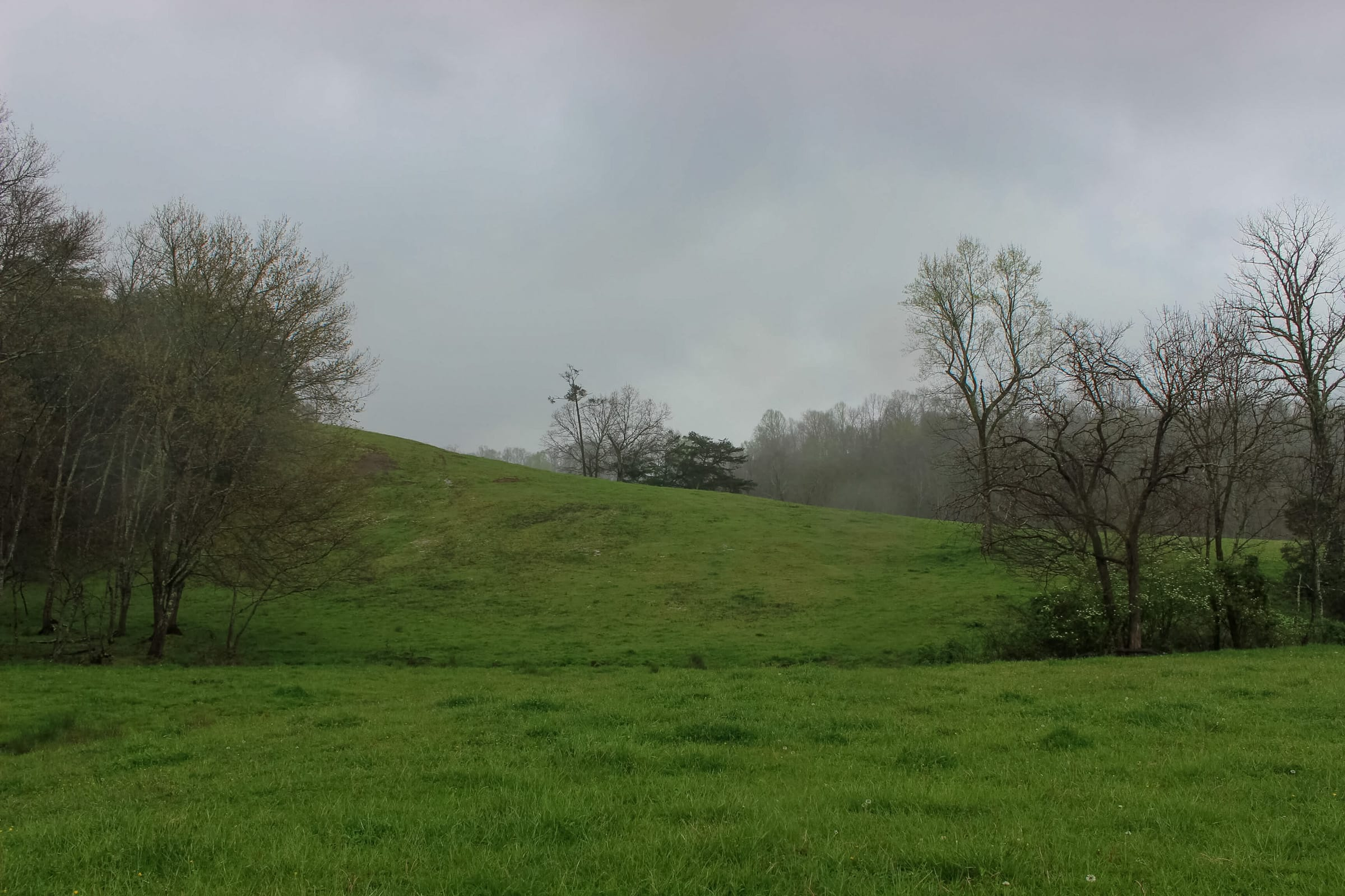 Tract 16 at Serenity Creek in Laurel County, Kentucky