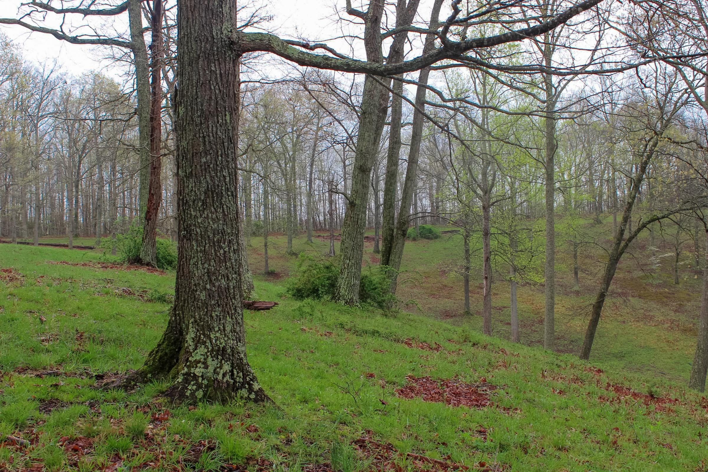 Tract 18 at Serenity Creek in Laurel County, Kentucky