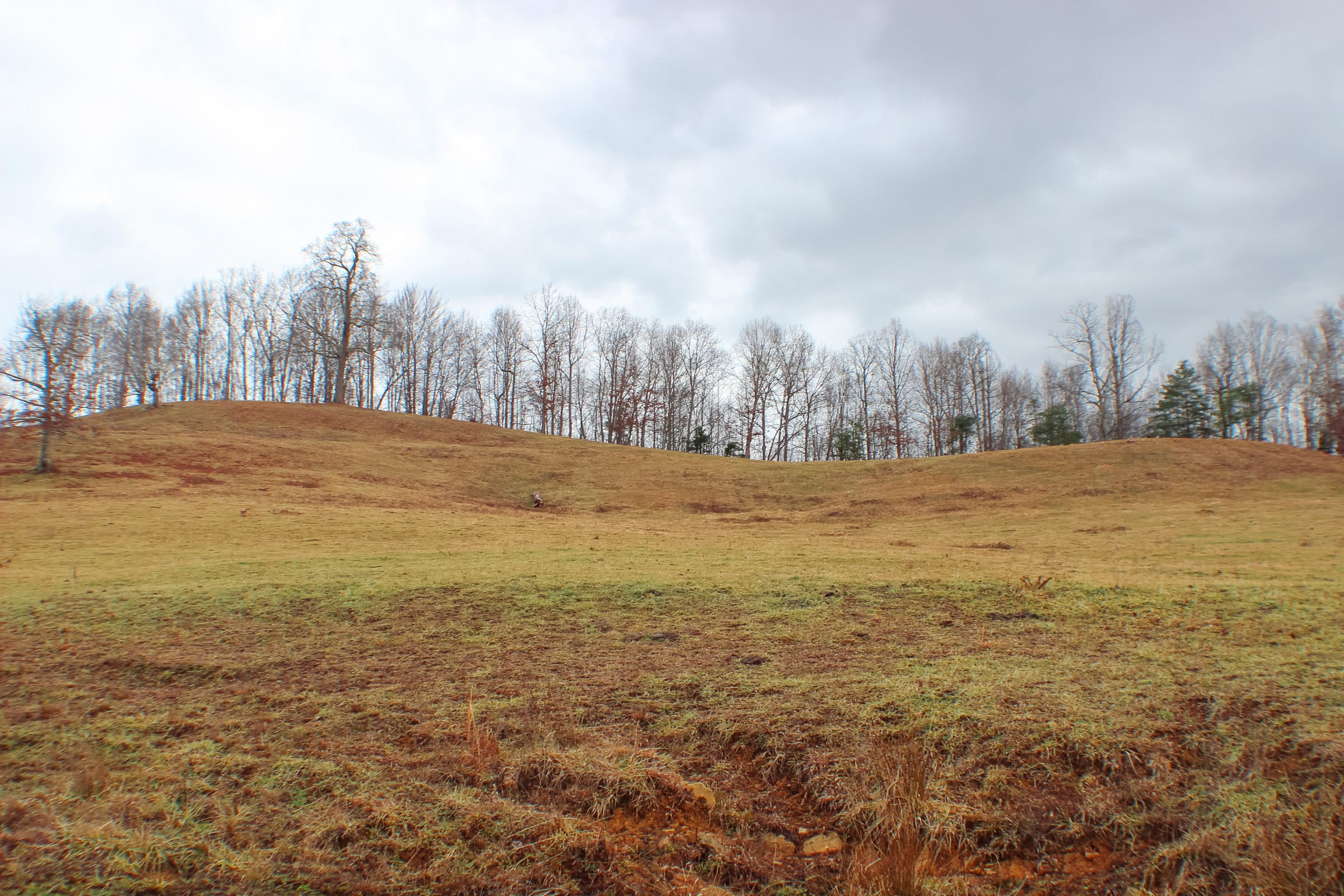 Tract 4 at Serenity Creek in Laurel County, Kentucky