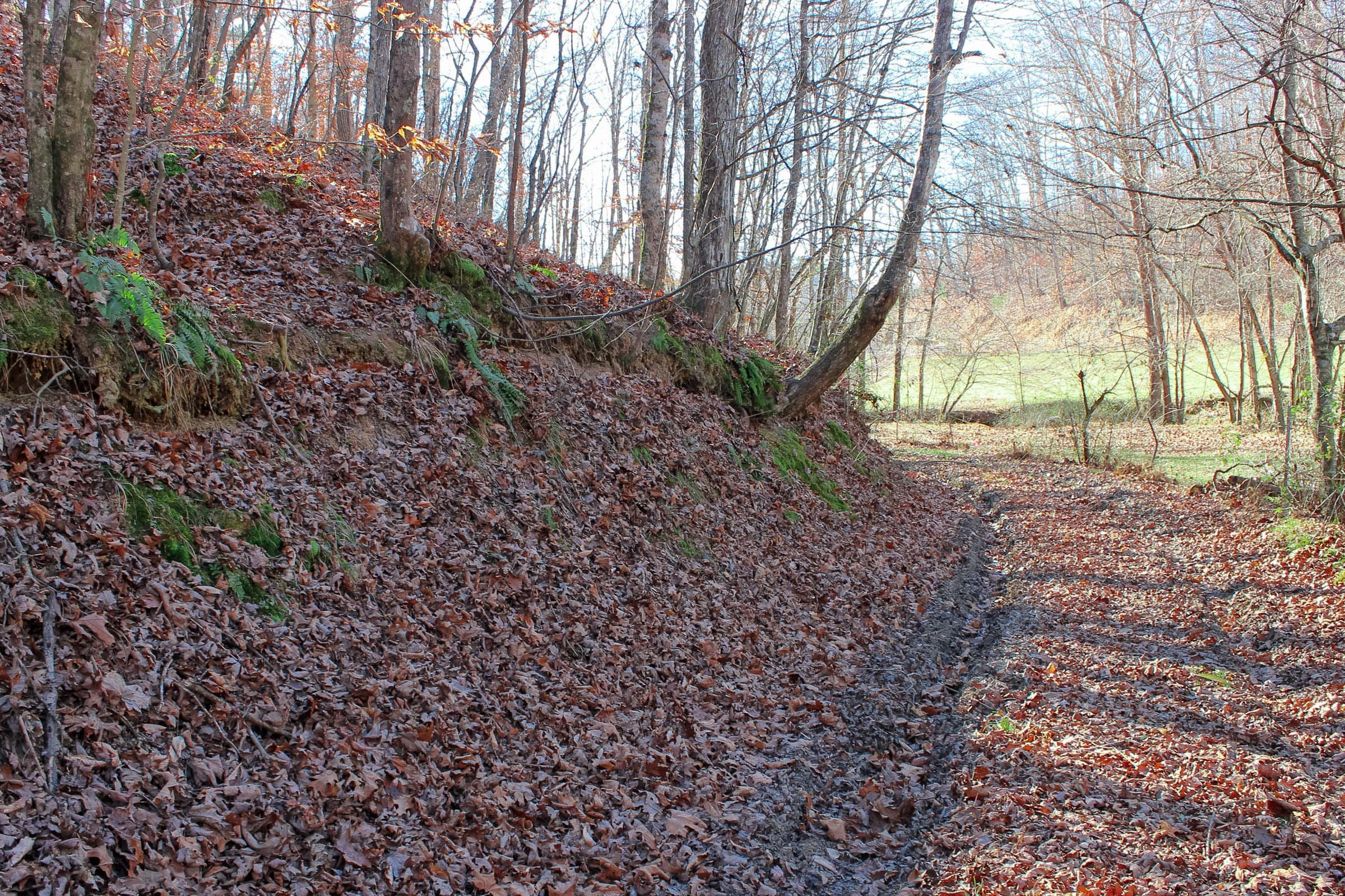 Tract 7 at Serenity Creek in Laurel County, Kentucky